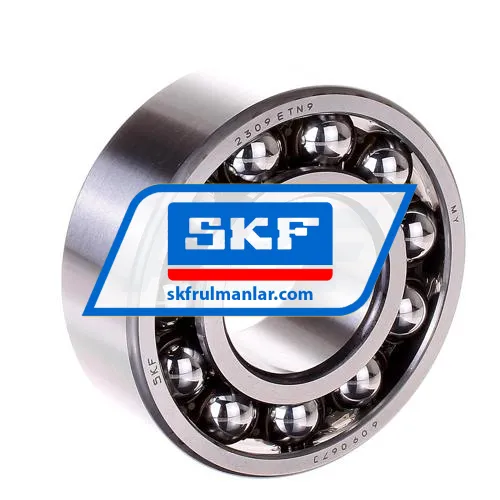SKF 2309ETN9
