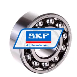 SKF 2309ETN9