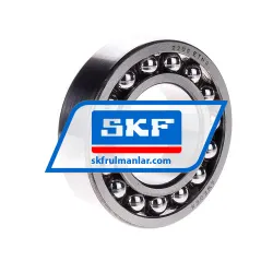SKF 2209ETN9
