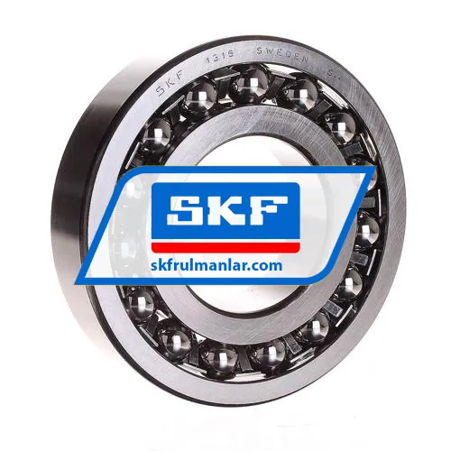 SKF 1316