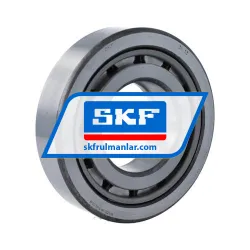 SKF 3NU13