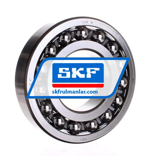SKF 1319K