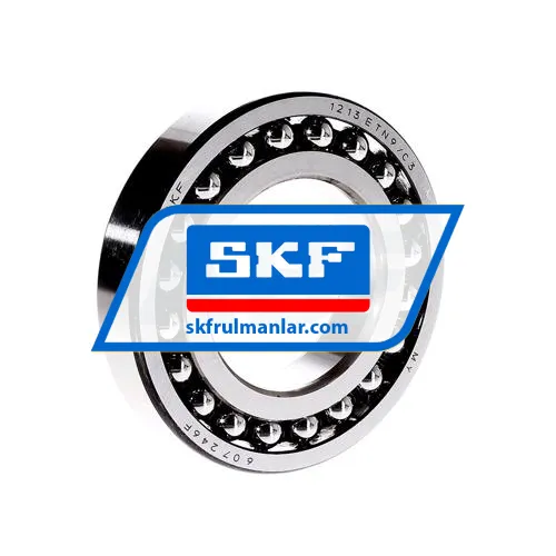 SKF 1213ETN9/C3