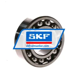 SKF 1205EKTN9/C3 rulman resim 2