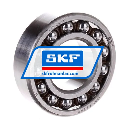 SKF 1205EKTN9