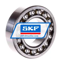 SKF 2209EKTN9/C3