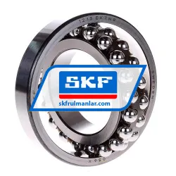 SKF 1213EKTN9 rulman resim 2