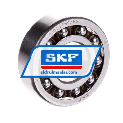 SKF 1202ETN9/P5