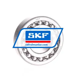 SKF 1207
