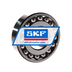 SKF 1309ETN9/C3