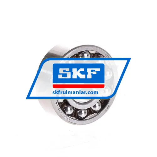 SKF 2204ETN9/C4