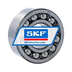 SKF 2309