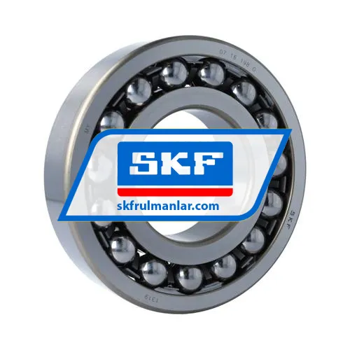 SKF 1319