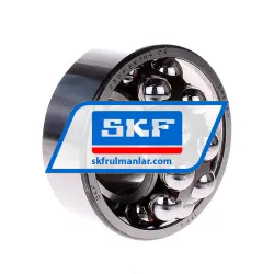 SKF 2309EKTN9/C3 rulman resim 2