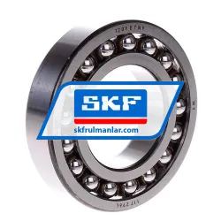 SKF 1209ETN9