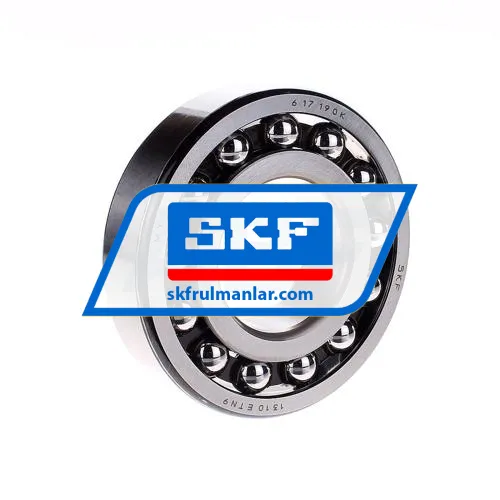 SKF 1310ETN9
