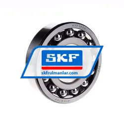 SKF 1310ETN9