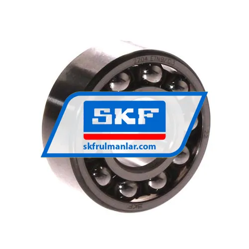 SKF 2204ETN9/C3