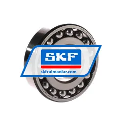 SKF 1309EKTN9/C3
