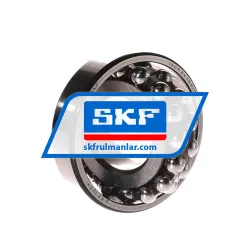 SKF 1309EKTN9/C3 rulman resim 2