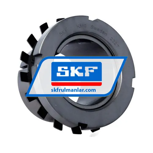 SKF HE309