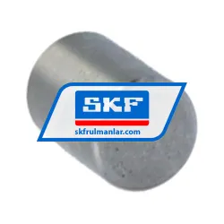 SKF RC-6X8C