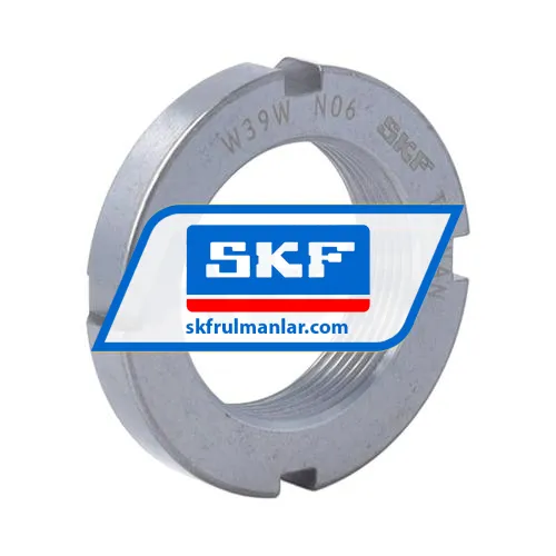 SKF N06