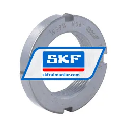 SKF N06