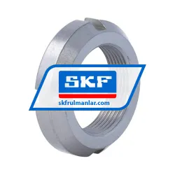 SKF N06 rulman resim 2