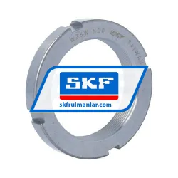 SKF N10