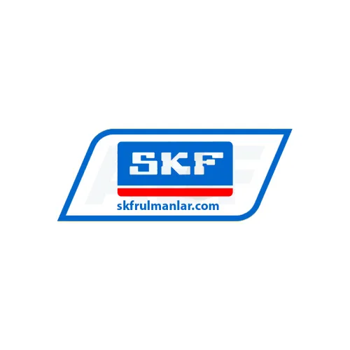 SKF AP10