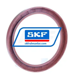 SKF CR100X125X12HMS5V rulman resim 2