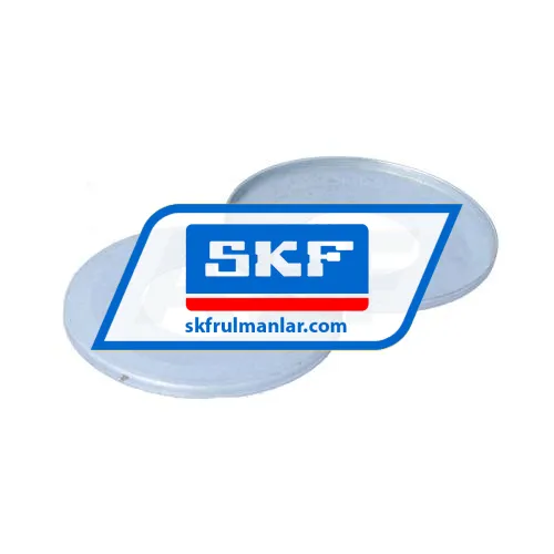 SKF NIL30202AV