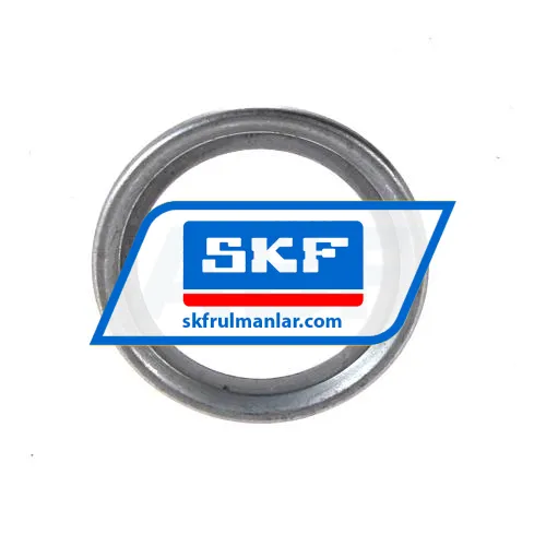 SKF NIL61805AV