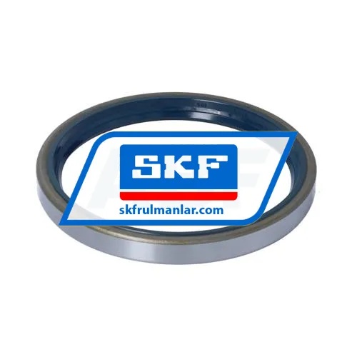 SKF 105X125X12CRS1R