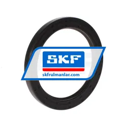 SKF 100X130X12HMS5RG