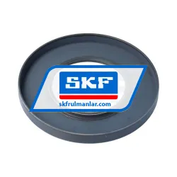 SKF 65X120X12HMS5RG rulman resim 2