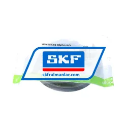 SKF 60X95X10HMS5RG rulman resim 3