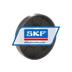 SKF 25X62X10HMS5RG