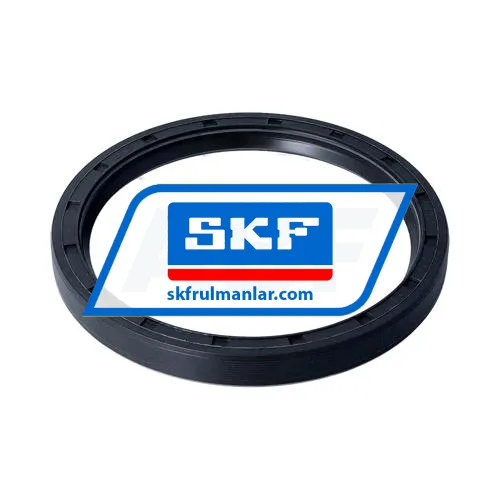 SKF 100X120X12HMS5RG