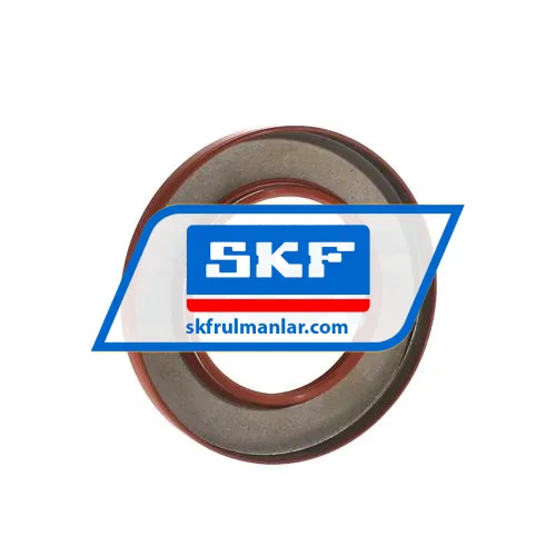 SKF 60X100X10HMSA10V ürün fotoğrafı 2