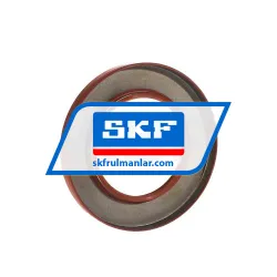 SKF 60X100X10HMSA10V rulman resim 2