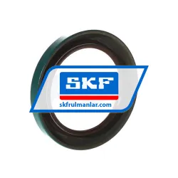 SKF 19631 rulman resim 2
