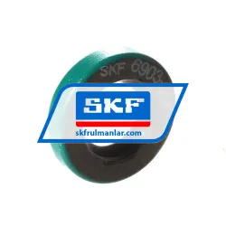 SKF 6903