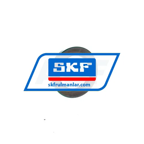 SKF 19993