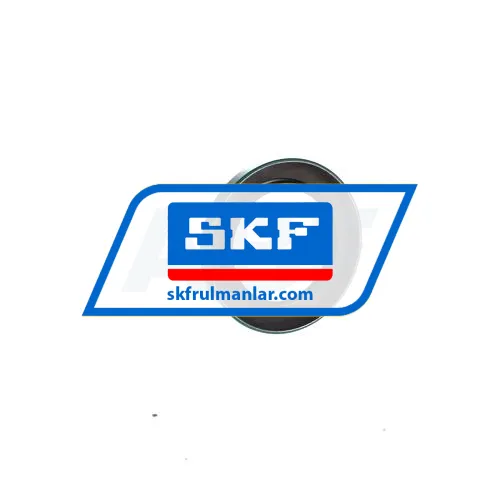 SKF 19993 ürün fotoğrafı 2