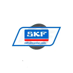SKF 19993
