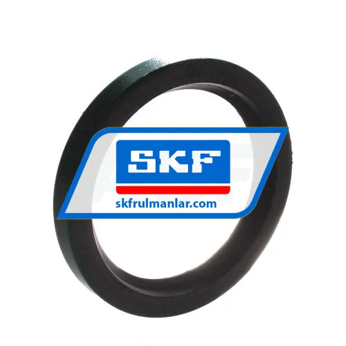 SKF 17231