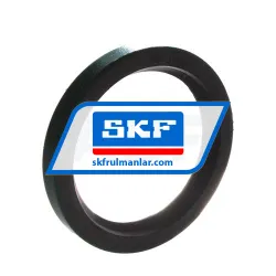 SKF 17231
