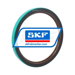 SKF 54934